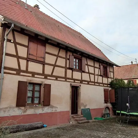 Grande Maison Familiale Dans Village Alsacien, Cour, Jardin, Proche Route Du Vin, Europapark, Haut Koenigsbourg, Selestat Mussig