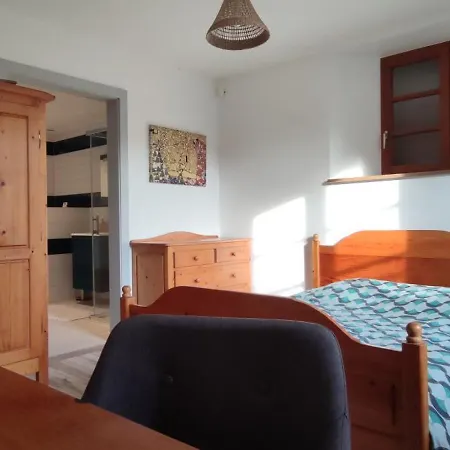 Grande Maison Familiale Dans Village Alsacien, Cour, Jardin, Proche Route Du Vin, Europapark, Haut Koenigsbourg, Selestat *