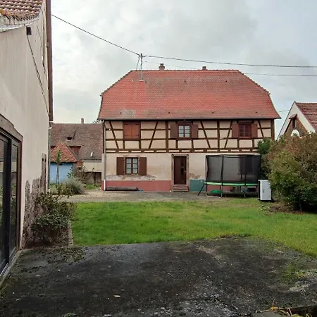 Grande Maison Familiale Dans Village Alsacien, Cour, Jardin, Proche Route Du Vin, Europapark, Haut Koenigsbourg, Selestat * Mussig