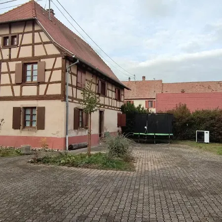 Grande Maison Familiale Dans Village Alsacien, Cour, Jardin, Proche Route Du Vin, Europapark, Haut Koenigsbourg, Selestat Mussig